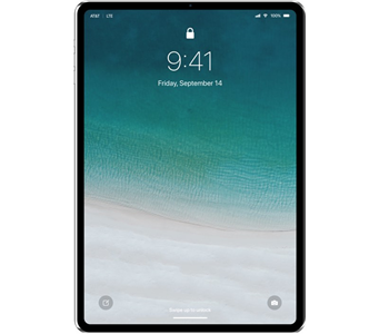 iPad Pro 11.0 (2018) 1TB Wifi A1980