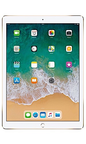 Verkoop je Apple iPad Pro 12.9 2nd Gen. 256GB Wifi (A1670) bij