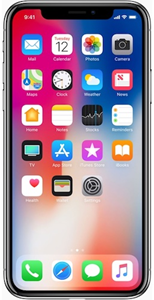 iPhone X 256GB