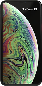 iPhone XS 256GB No Face ID
